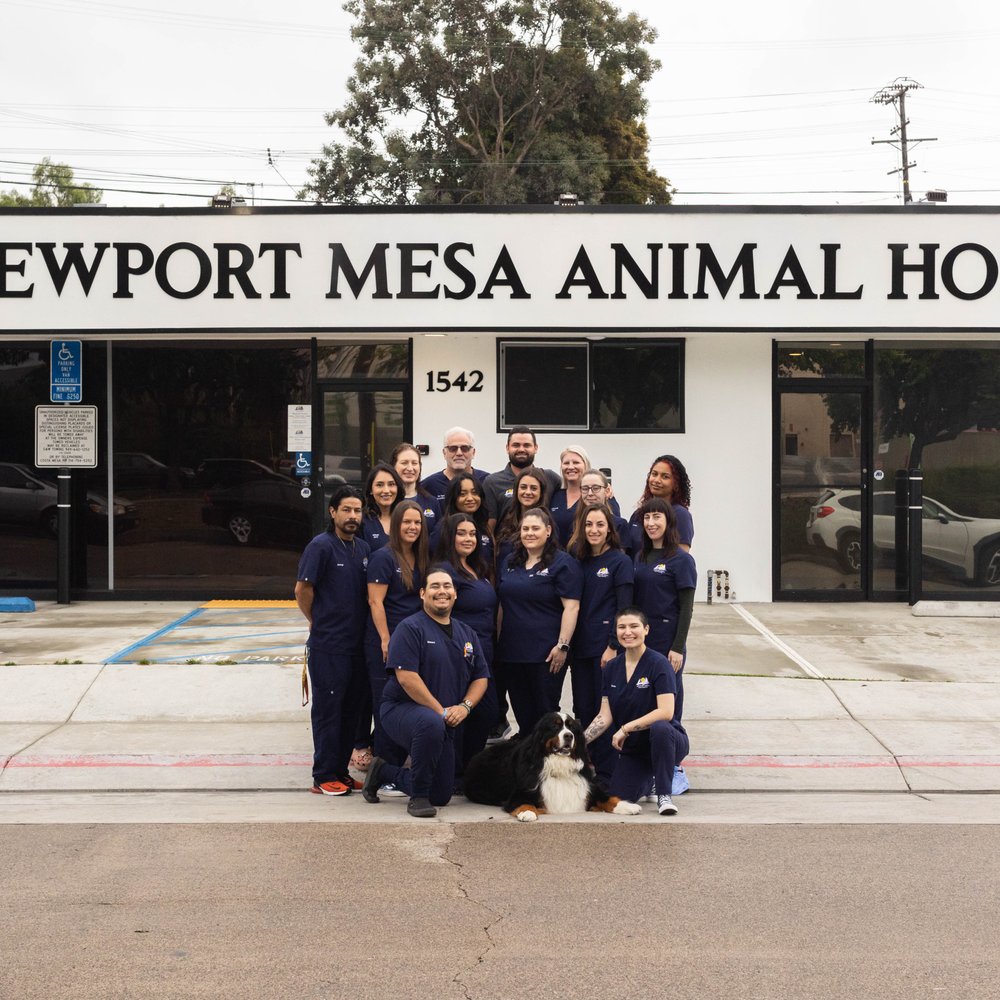 THE BEST 10 Bulldog Vet in Irvine, CA - Quality & Affordability - Updated  2026 - Yelp