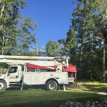 Campbell's Tree Service - Tree Services Near Me - Dunlap, Tennessee