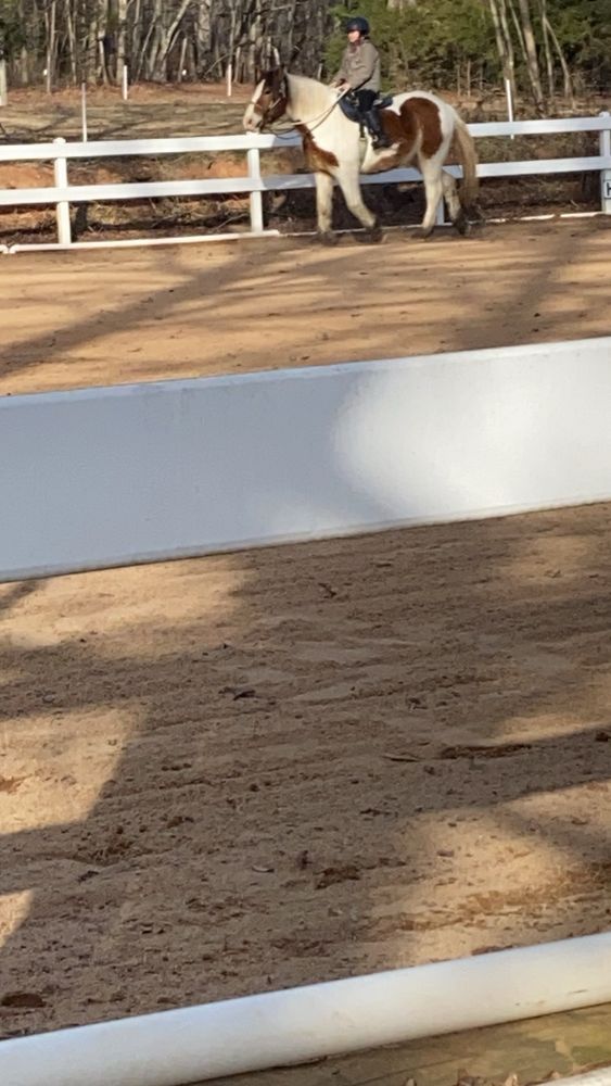 Cannon Equine Instruction Logo