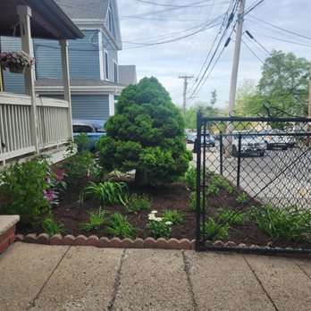 Your Garden Curator - a view of the front yard - Landscaping Near Me - Somerville, Massachusetts