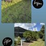 Photo of Florida Lawn Care Experts