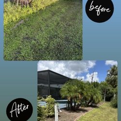 Florida Lawn Care Experts