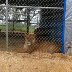 Barry R Kirshner Wildlife Sanctuary