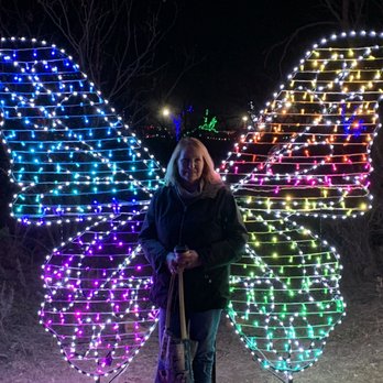 Winter Lightfest - Float like a butterfly, sting like a bee! Not really, she's sweet! - Festivals Near Me - Abilene, Texas