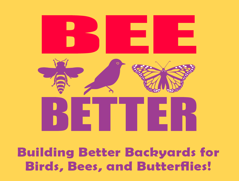 Bee Better - social services organization in Raleigh, NC