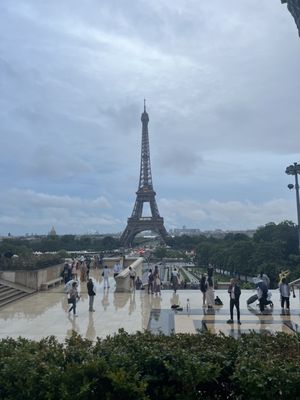 Café de l’Homme by null
