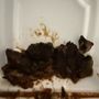Photo of Georgiana’s Caribbean Cuisine