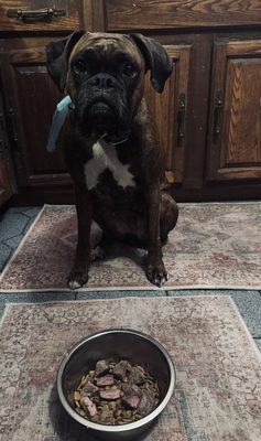 UNO Pizzeria & Grill by null