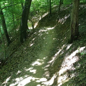 Meadowood Special Recreation Management Area - Another part of the trail. These kind of hills are fun to run. Not too horrible but you have to work. - Hiking Near Me - Lorton, Virginia