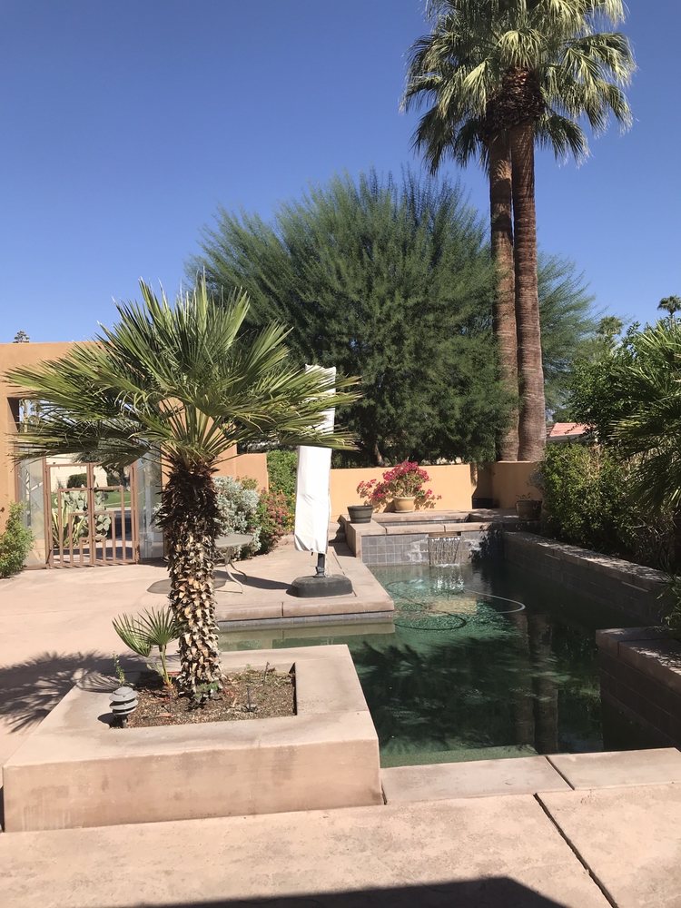 DISCOUNT TREE SERVICE Updated June 2024 10 Photos & 25 Reviews