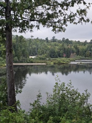 Tahquamenon Falls State Park by null