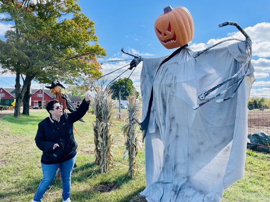 Snyder's Farm by null