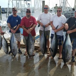 Phideaux Fishing - Tuna