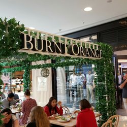 Burnt Orange Chatswood