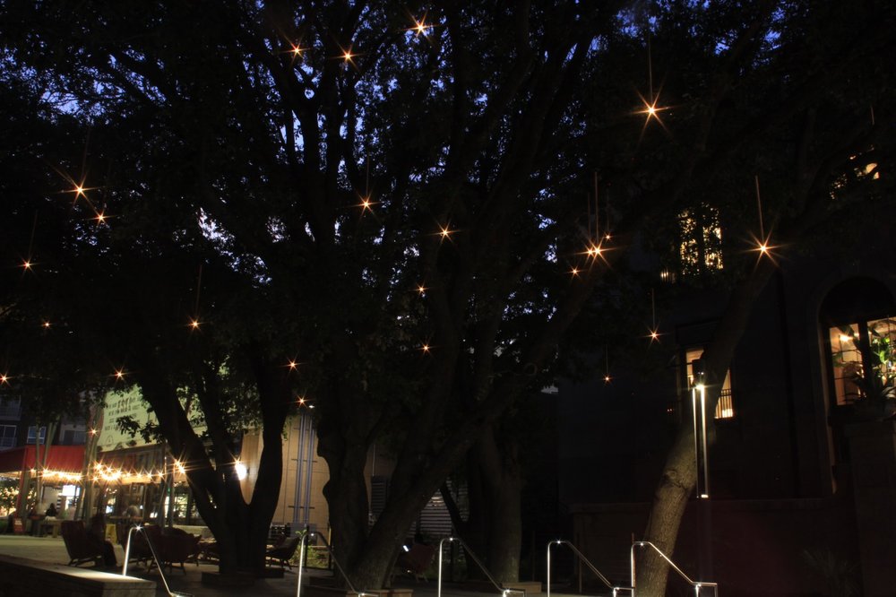 Slide of Kelly Francis Illumination