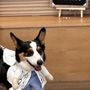 Photo of Inheart Animal Hospital