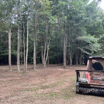 Clear Choice Land Solutions - Tree Services Near Me