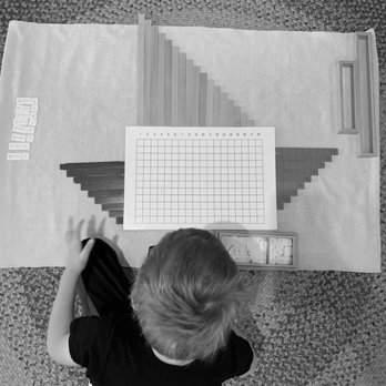 Treehouse Montessori School - Preschools Near Me - Fort Collins, Colorado Treehouse Montessori School - Preschools Near Me - Fort Collins, Colorado