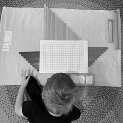 Treehouse Montessori School