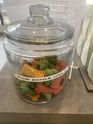 Blue Bottle Coffee by null