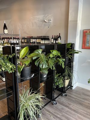 Mile Limit Wine Shop by null