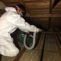 Attic Crew - Attic sanitation