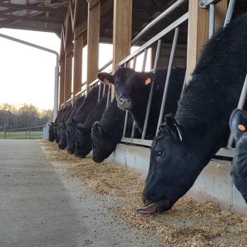 Willow Valley Farm - Ranches Near Me - Glen Arm, Maryland
