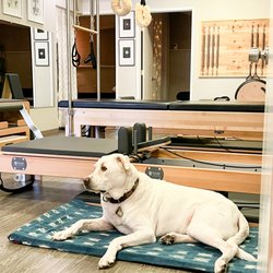 Back Benders - Titus in the Pilates area