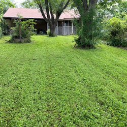 Stanford lawn care service  - Lawn Service