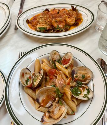 Cafe Spaghetti by null