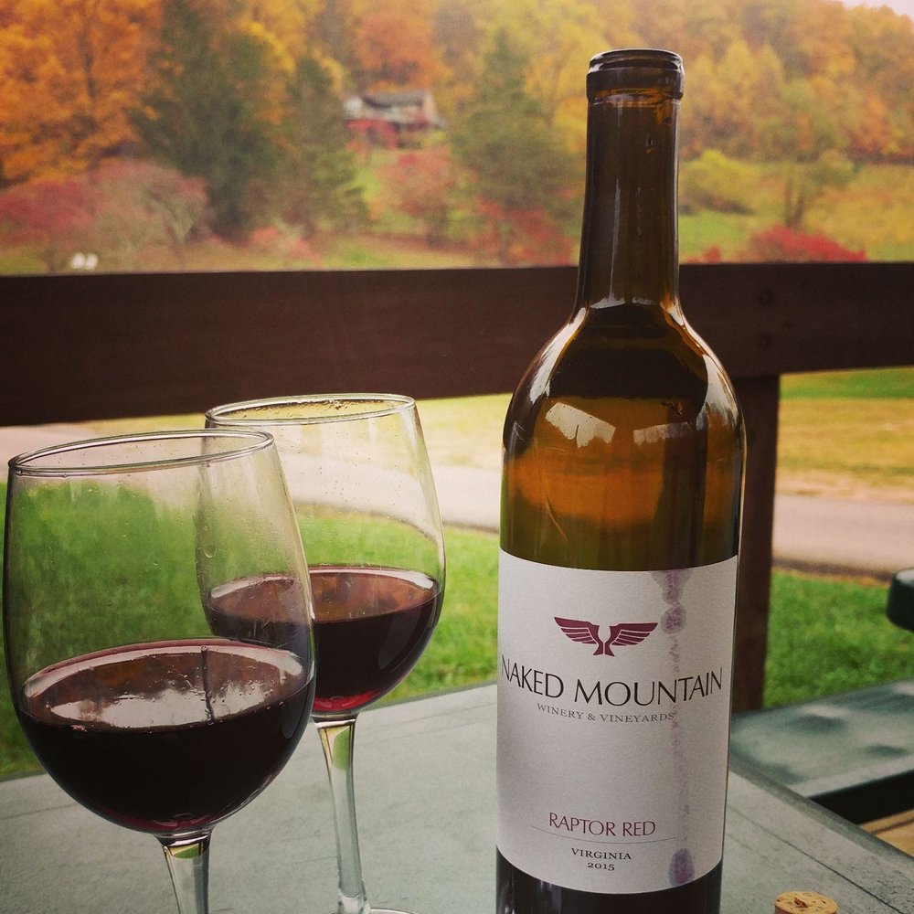 Naked Mountain Winery & Vineyards - Wineries Near Me - Markham, Virginia