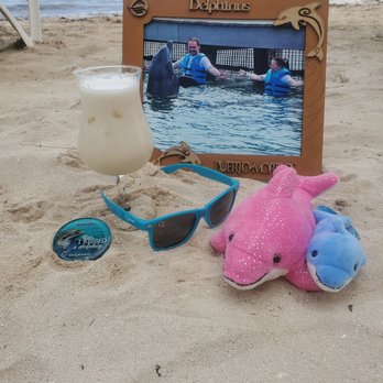 Delphinus - Aquariums Near Me - Puerto Morelos, ROO