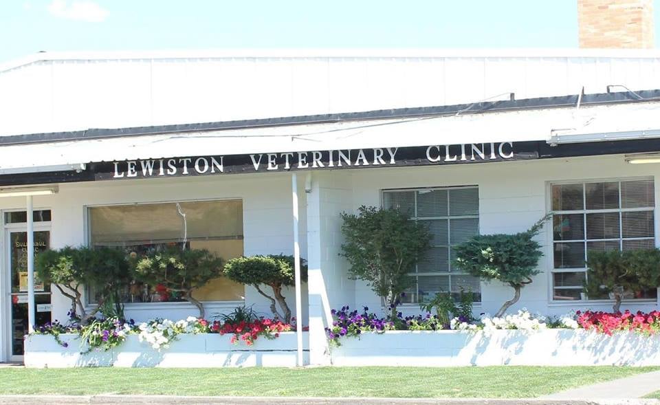 LEWISTON VETERINARY CLINIC Updated August 2024 421 22nd St N