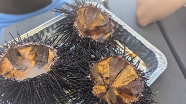 Quality Seafood Inc by null