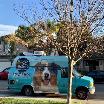 Foxy Roxy Dog Groomer 2025