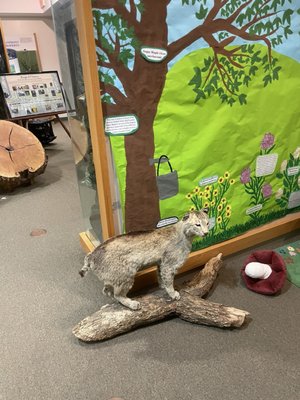 Giant City State Park by null