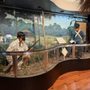 History Fort Lauderdale