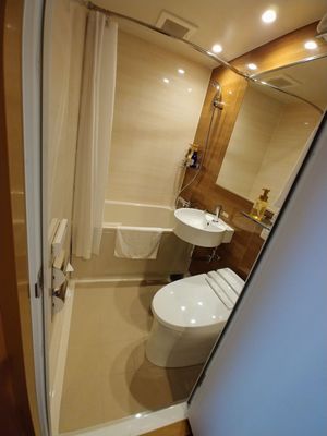 CANDEO HOTELS Tokyo Shimbashi by null