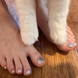 Spoil Me Nails & Spa - Oyster the cat approves!