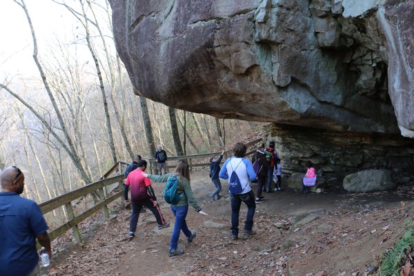 Cloudland Canyon State Park by null