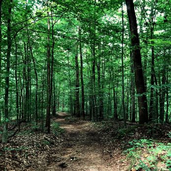 Timberland Park - Trail entrance - Hiking Near Me