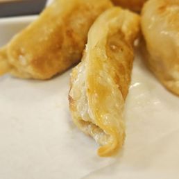 Gyoza Gyoza