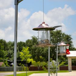 Mallard Creek Dental - Outside our office you'll see our bird feeders - we love helping our local community stay beautiful and relaxing beyond just ...