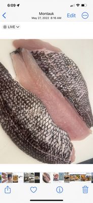 Bennett Shellfish by null