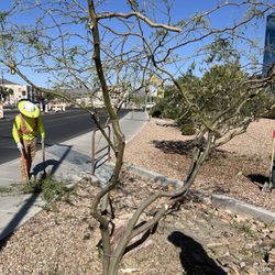 Northwest Landscaping