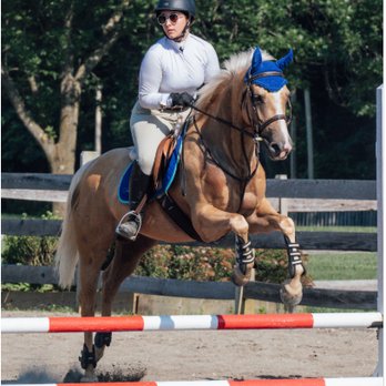 Hunters Edge Equestrian - Horseback Riding Near Me - Howell Township, New Jersey Hunters Edge Equestrian - Horseback Riding Near Me - Howell Township, New Jersey