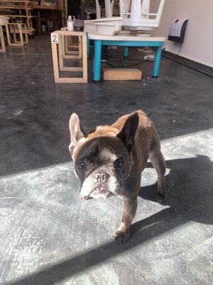 Clay Clubhouse by null