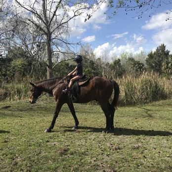 Hidden Palms Ranch - Horseback Riding Near Me - Sanford, Florida