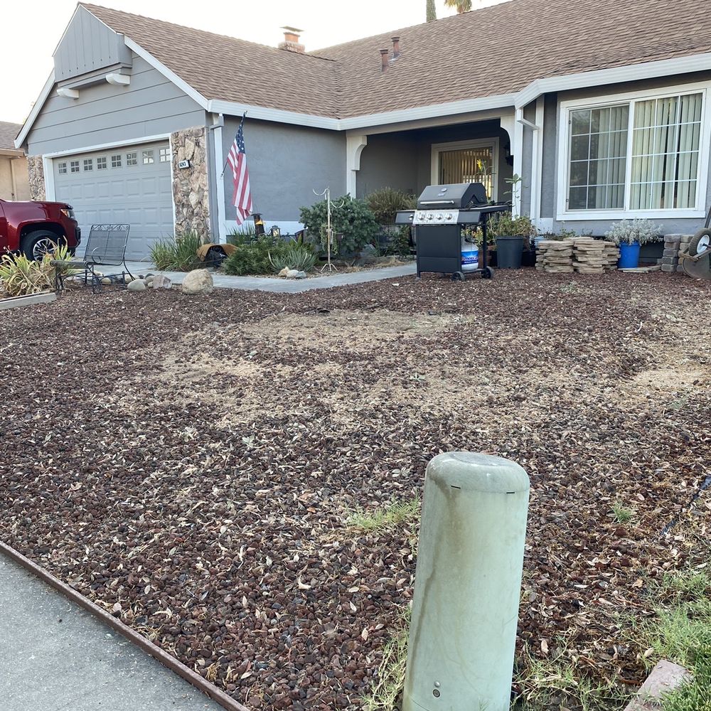 Arbor Evergreen - After - Tree Services Near Me Arbor Evergreen - After - Tree Services Near Me