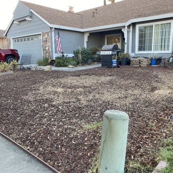 Arbor Evergreen - After - Tree Services Near Me Arbor Evergreen - After - Tree Services Near Me